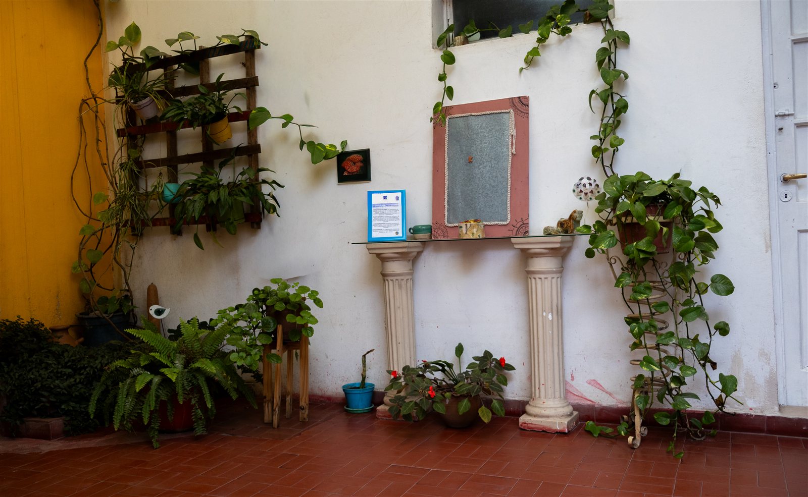 Patio El Espejo
